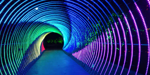 Create Magic with LED String Lights, Inspiration for LED Lovers 1