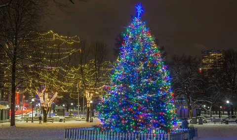 Create Magic with LED String Lights, Inspiration for LED Lovers 2