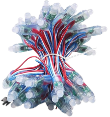 WS2811 LED String Lights Waterproof RGB Full Color 12mm DC 12V From REXTiN