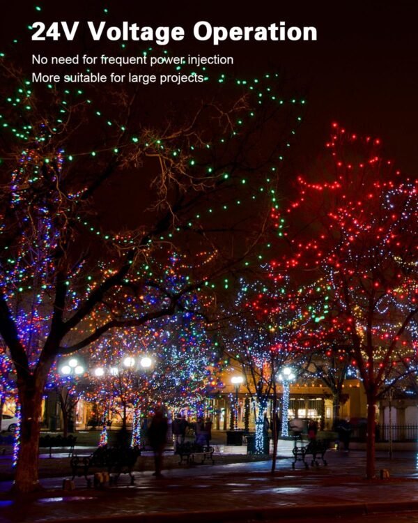 ALITOVE 24V WS2811 RGB LED Pixel String Lights – 100 Pixels, 32.8ft, IP68 Waterproof, 12mm Addressable Bullet LEDs
